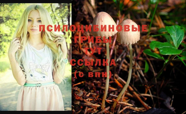 PSILOCYBIN Горняк