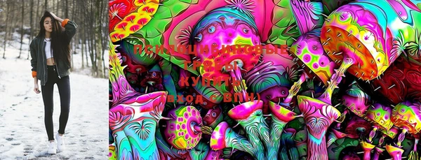PSILOCYBIN Горняк