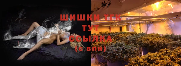 PSILOCYBIN Горняк